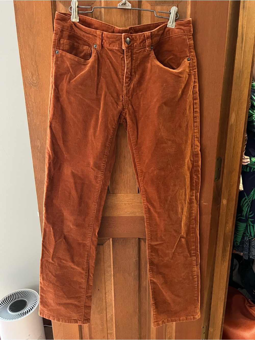 Patagonia Women’s Rust Corduroy Pants